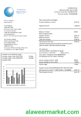 USA Connecticut Light & Power electricity business utility bill in Word and PDF formats